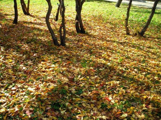 1718940 (a): :2592x1944